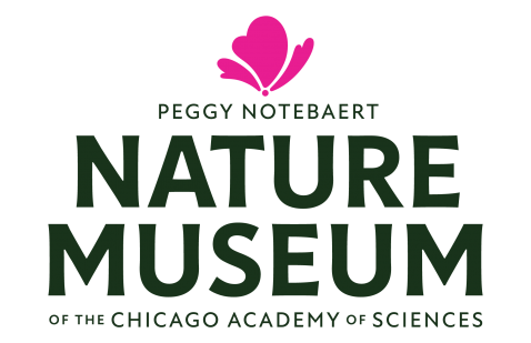 Chicago Academy of Sciences / Peggy Notebaert Nature Museum